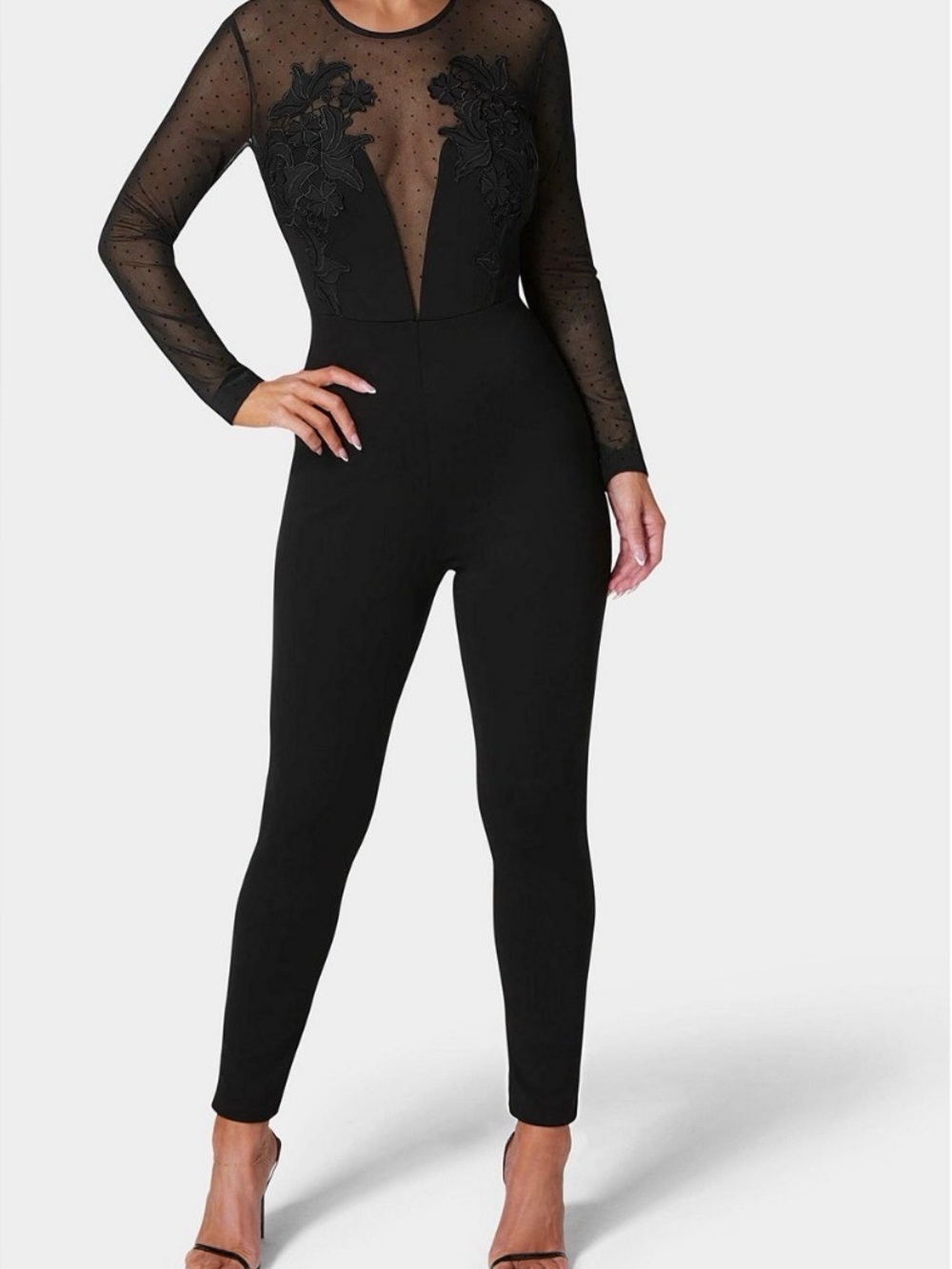 Women's Black Sheer Mesh and Lace Long Sleeve Cat Suit